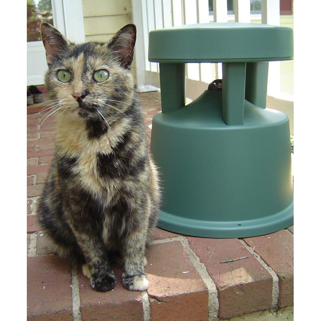 Cat and speaker